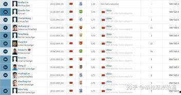 爆料中国球员名单最新版,中国球员名单大揭秘,实力派球员齐聚一堂