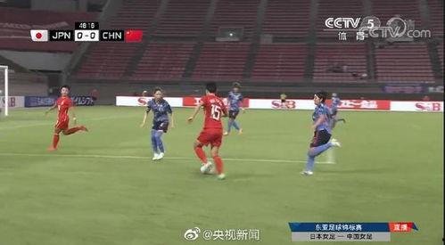 足球爆料今日最新消息,最新爆料揭示今日足球热点动态