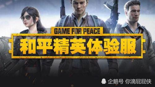 吃鸡体验服最新爆料,全新玩法与优化,带你领略极致战斗体验!